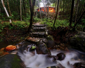 Daintree Cascades